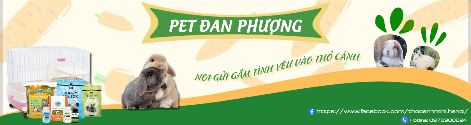 Pet Đan Phượng – Cửa hàng bán các loại thú cưng tại Hà Nội